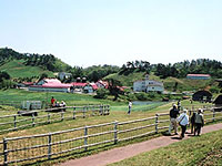 碇高原